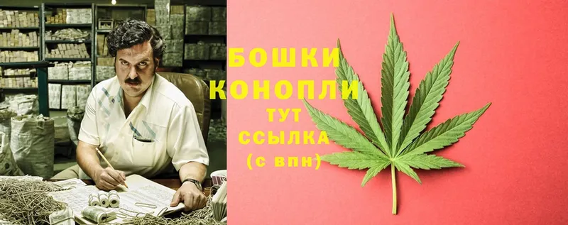 Конопля White Widow  Электросталь 